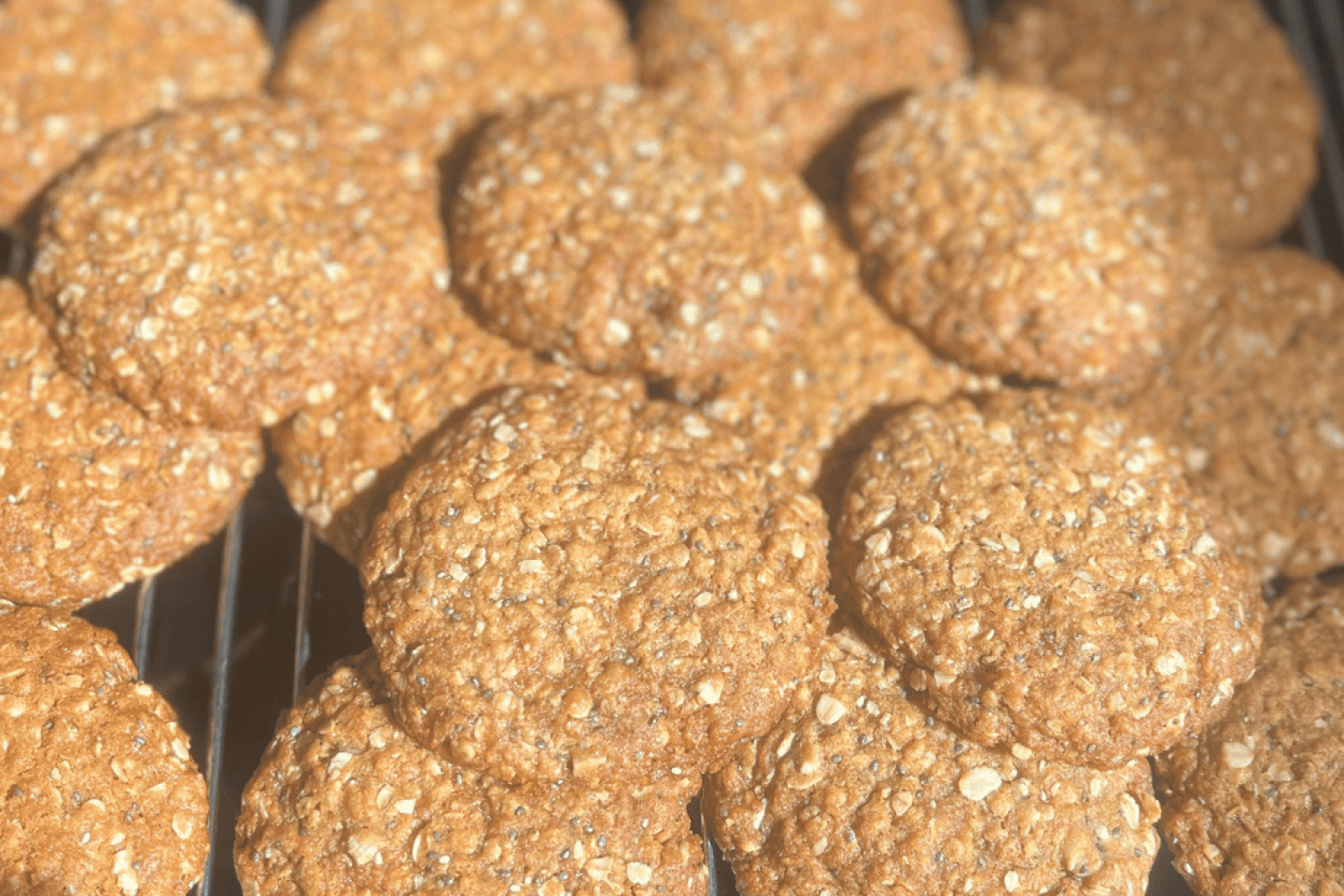 ANZAC Biscuits